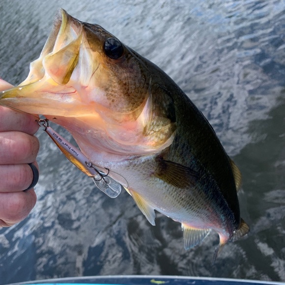 Meet your Posher, Chad - Picture 1 of 1